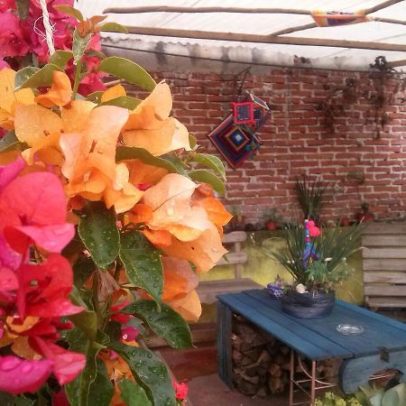 Hostal Nahui Ollin San Cristóbal de Las Casas Exterior foto