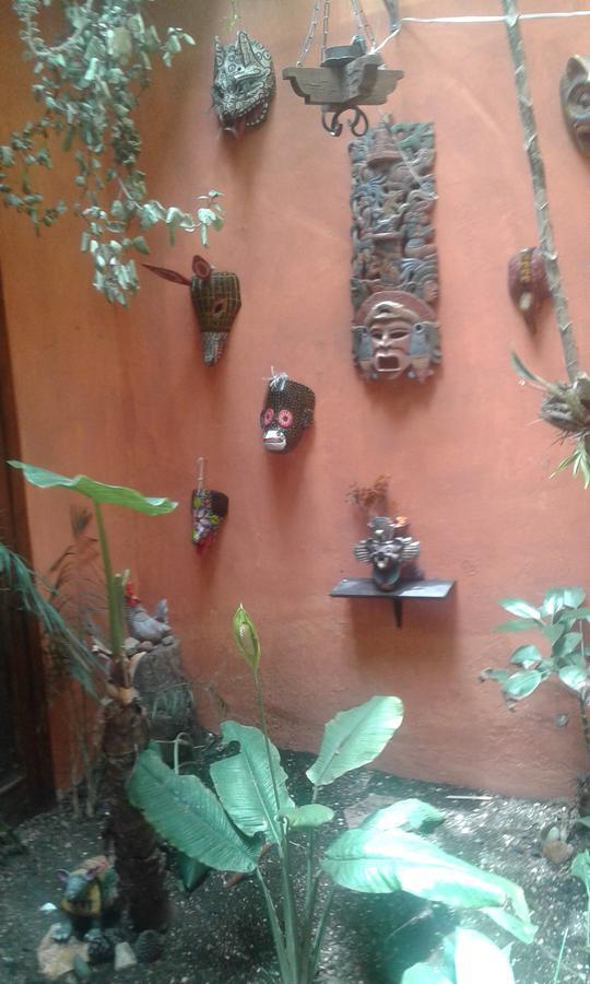 Hostal Nahui Ollin San Cristóbal de Las Casas Exterior foto