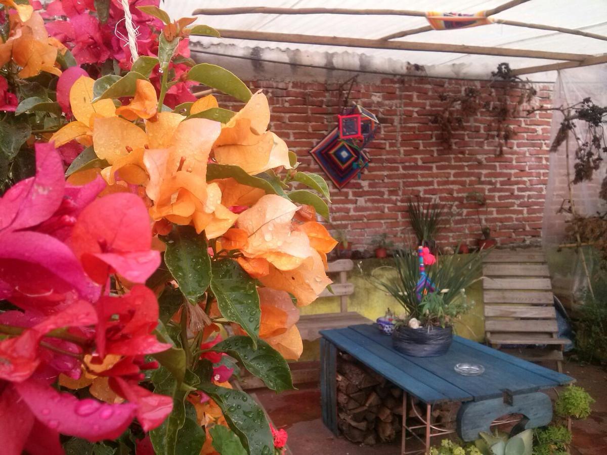 Hostal Nahui Ollin San Cristóbal de Las Casas Exterior foto